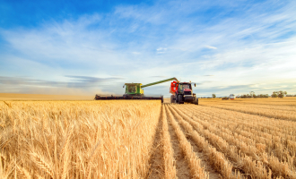agriculture