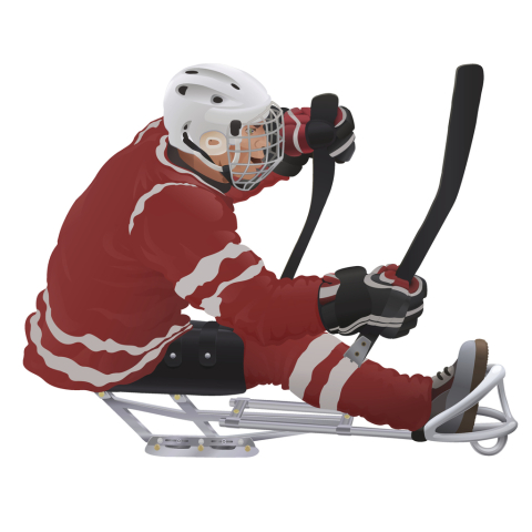 sledge hockey